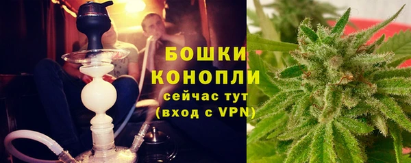 spice Белокуриха