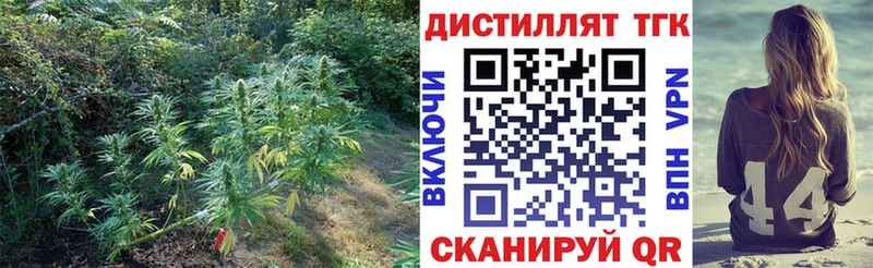 ТГК THC oil Купить где Елизаветинская