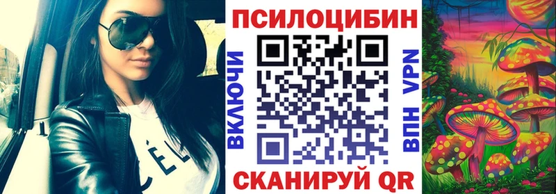 Купить где  Елизаветинская  Псилоцибиновые грибы Magic Shrooms 